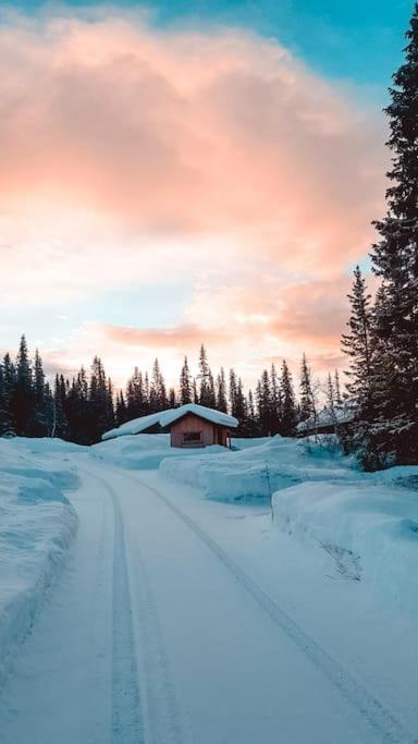 Cozy Mountain Cottage With Beautiful Views & Sauna Beitostolen Luaran gambar