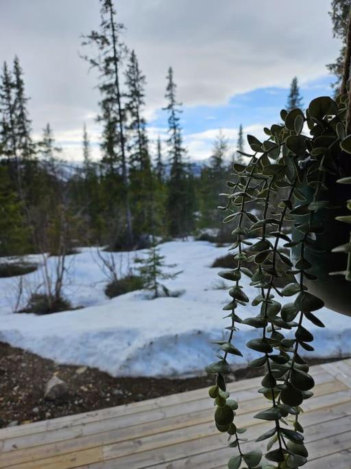 Cozy Mountain Cottage With Beautiful Views & Sauna Beitostolen Luaran gambar