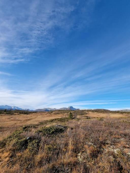 Cozy Mountain Cottage With Beautiful Views & Sauna Beitostolen Luaran gambar